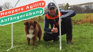 Hoopers Agility  So lernt dein Hund ganz EINFACH Hoops kennen [upl. by Kotta]