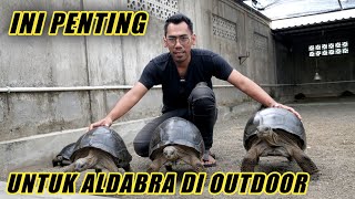 HAL PENTING YANG HARUS DI PERSIAPKAN SEBELUM ALDABRA DI TEMPATKAN DI OUTDOOR [upl. by Hgieleak25]