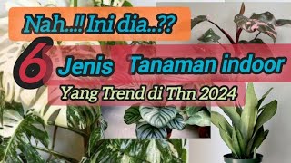 Nah Ini dia 6 Jenis Tanaman Indoor Yang Trend Di Tahun 2024 [upl. by Eeima974]