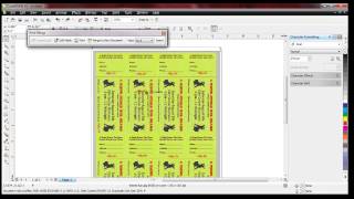 Raffle Ticket Numbering  How to number raffle tickets with Number Pro and Corel Draw [upl. by Maise]