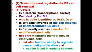 4th level special zoology Stem Cell Biology BioChem 475 lecture no 5 [upl. by Vial]