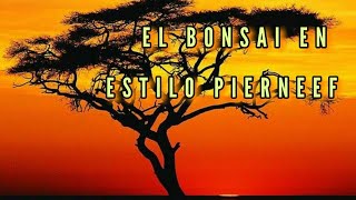 EL BONSAI EN ESTILO PIERNEEF [upl. by Celin373]