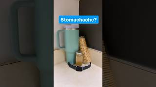 Easy home remedies for stomachaches [upl. by Wyly]