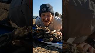 ABALONE  Catch n Cook 🤤🐟 fishing seafood cooking abalone paua [upl. by Fairley391]