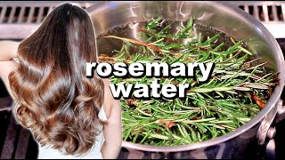 ROSEMARY WATER FOR HAIR GROWTH  DIY Rosemary Water Recipe amp How To Use It [upl. by Nessa]