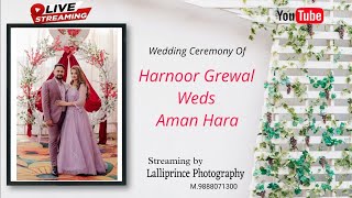 Live Wedding Ceremony  Harnoor Grewal With Aman Hara  6112024 [upl. by Bullis]