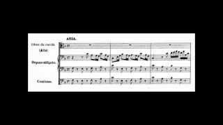 Aria quotGott hat alles wohlgemachtquot BWV 35  Johann Sebastian Bach [upl. by Marvin842]