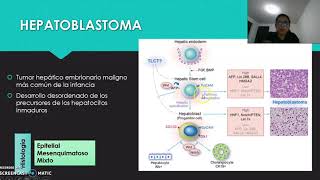 Hepatoblastoma [upl. by Ardnatal]