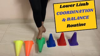 6 Important Lower Limb Coordination amp Balance Exercises [upl. by Netnerb]