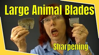 How to Professionally Sharpen Large Animal Clipper Blades [upl. by Nika250]