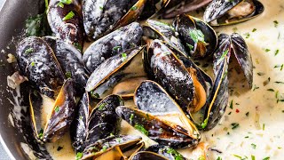 MUSSELS In AMAZING Tarragon CREAM SAUCE [upl. by Anilad568]