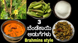 ಬೆಂಡೆಕಾಯಿ ಬಳಸಿ ಮಾಡುವ ಮೂರು ಬಗೆಯ ಅಡುಗೆಗಳು  3 bendekayi recipes in Kannada  Udupi brahmins recipes [upl. by Salamanca787]