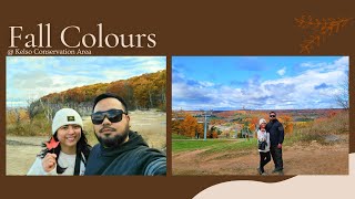 Enjoy Fall Colours At Kelso Conservation AreaFall Hiking 2024 [upl. by Olecram301]