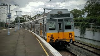 Sydney Trains Vlog 1295 Narwee [upl. by Milissa]