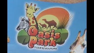 Oasis Park Fuerteventura [upl. by Australia]