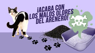 Acaba con los MALOS OLORES en el ARENERO de tu GATO ¿Funcionan el CARBÓN activado y el BICARBONATO [upl. by Jilli866]