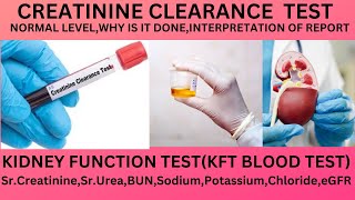 CREATININE CLEARANCE TESTNORMAL RANGE DECREASED CREATININE CLEARANCE GFRSERUM CREATININEKFT [upl. by Macfadyn]