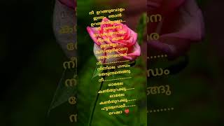 ഹൃദയ സഖി സ്നേഹമയി songmalayalam movie romantic song vellithira lyrics shortsvideo music [upl. by Melia]