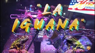 La Iguana  La Historia Musical De México  Video Official [upl. by Colston]