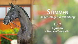 WinterAuktion Stimmen des Teams Lot 7 Djamila Stute v Danciero  Cascadello I [upl. by Selia]