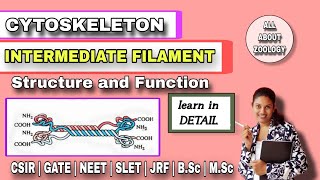 CYTOSKELETON  INTERMEDIATE FILAMENT Structure amp Function  MSc Classes  Cell Biology [upl. by Nagorb]