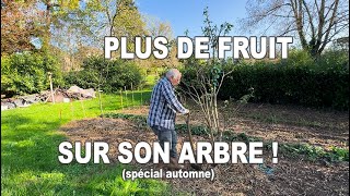 ASTUCE ARBRES FRUITIERS  COMMENT AVOIR une RÉCOLTE de fruit PLUS GÉNÉREUSE 🍎🍐 [upl. by Onez415]