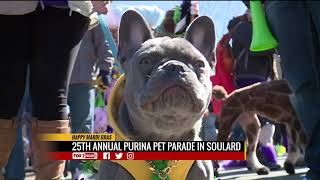 The 25th annual Soulard Mardi Gras Pet Parade [upl. by Nnad]