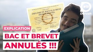 LE BAC ET LE BREVET ANNULÉS 😱 JE T’EXPLIQUE TOUT [upl. by Zachery]