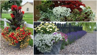 Favorite Plants for Container Gardens [upl. by Avert105]