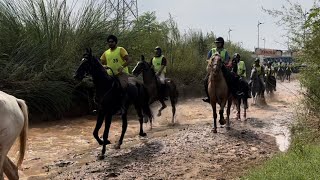 Punjab Open Endurance Championship 2024 [upl. by Kordula]