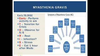 Myasthenia Gravis [upl. by Jevon425]