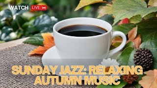 🔴 LIVE Sunday Jazz Relaxing Autumn Music for a Cozy amp Peaceful October Afternoon [upl. by Anyer29]