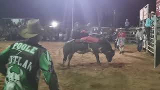 NANANGO SHOW RODEO 2021 highlights [upl. by Arhez]