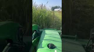 Bush hogging cover crop covercrops bushhog johndeere success [upl. by Notsew]