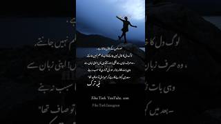 Dilon k khal دلوں کے حال dil ka kiakraindil ki nalifiha turk poetry fiha Arabiccopyright [upl. by Inglebert]