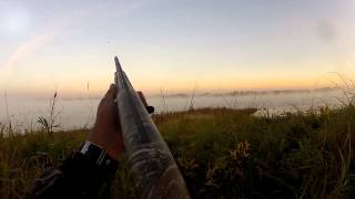 duck and goose hunting with GoPro and winchester sx3 [upl. by Dobrinsky]