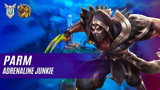 Раям KOGA PALADINS COMPETITIVE MASTER ADRENALINE JUNKIE [upl. by Nagey873]