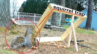 Squirrel trap easy homemade [upl. by Mccready553]