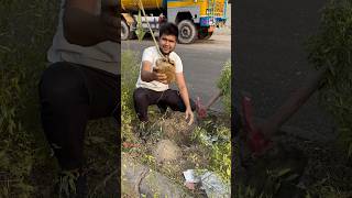 How to plant lakhs of trees on road divider  Plant Tree 🌳 on the central Dividers Of the Road [upl. by Enilrem580]