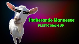 Shakerando Manueeee Pletto Remix [upl. by Madeleine]