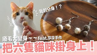 貓咪廢毛大變身！來做貓毛氈～【好味喵物】feat莎莎手作 EP2 [upl. by Dirgni]