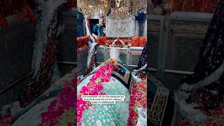 New saiyed ali mira datar dargah qawwali video 2024 WhatsApp status [upl. by Ttocs284]