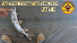 FALL PIKE FISHING SEASON 2024 PART 4 [upl. by Woodie]