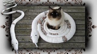 DIY 😻 Schlangen Schaukel für Katzen  Snake Swing for Cats [upl. by Aikaz245]