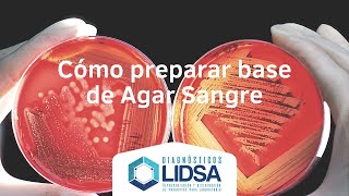 Cómo preparar medios de cultivo  Agar Gelosa Sangre [upl. by Nortal]