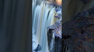 Nature Creek Waterfall Ambience relaxingmusic nature sound [upl. by Diena]