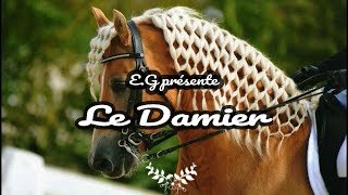 🎀 Coiffure crinière cheval  le damier 🎀 [upl. by Silloc849]