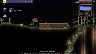 Terraria  Lucky Break Trophy [upl. by Ainig]