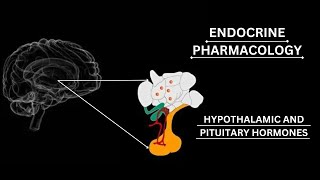 GonadotropinReleasing Hormone GnRH  AGONISTS AND ANTAGONISTS pharmacology katzung lippincot [upl. by Koppel521]