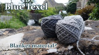 Fiber Talk Blue Texel  Ep 20  Can it be a blanket [upl. by Raama73]